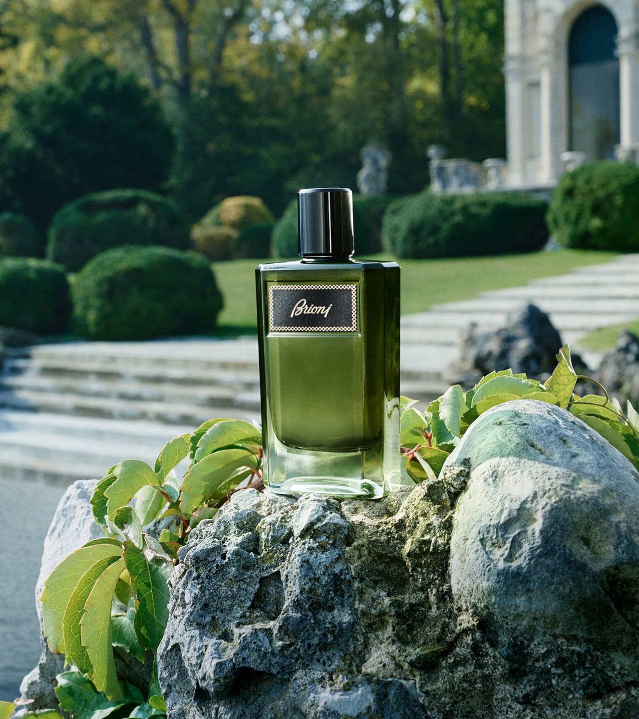 sust page and manifesto - img 6