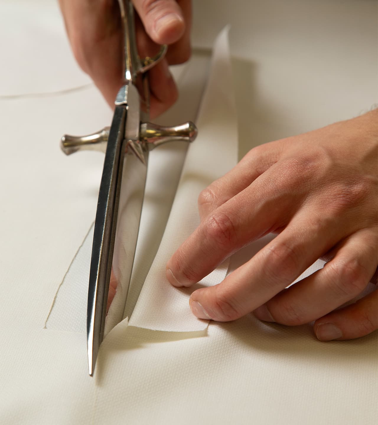 sust page and manifesto - img 5